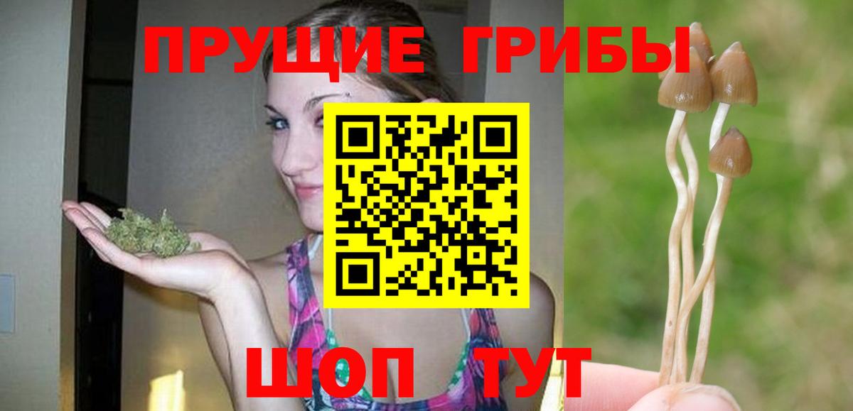 Псилоцибиновые грибы прущие грибы  Вход с VPN  Южноуральск 